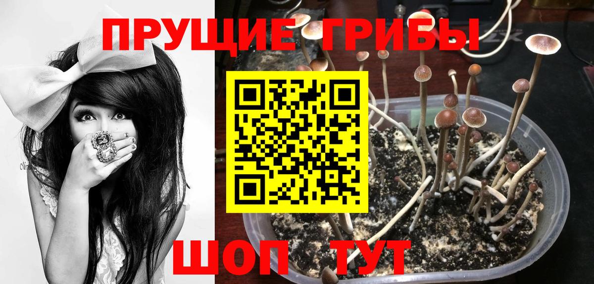 Псилоцибиновые грибы прущие грибы  Псилоцибиновые грибы Magic Shrooms  Вход с VPN  Муром 
